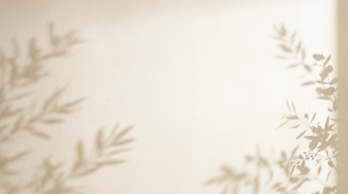 Colours Boutique Instagram gallery background